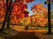 Золотая осень уже близко