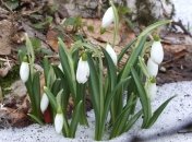 13 марта. Приметы дня