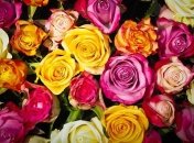 Короткие поздравления с днем рождения в стихах 28 мая