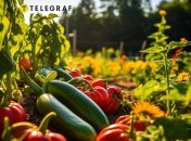 Природа всегда нам подсказывает, нужно лишь уметь слушать ее