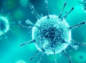 Перший випадок зараження коронавірусом зафіксували в Іспанії