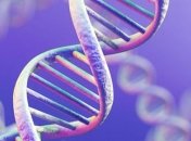 Ученые обнаружили 15 генов, которые формируют нашу внешность