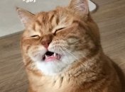 Прогноз невтішний для Терезів, Водоліїв та Риб