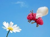 ФОТОпозитив: веселая еда от Ванессы Дуалиб