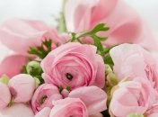 День Ангела Елены: значение имени и поздравления