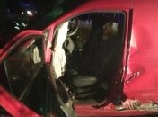 Переполненный людьми бусик врезался в дерево: погибла женщина, еще шесть человек пострадали на Житомирщине(фото)