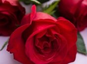 Именины Павла: значение имени и поздравления 