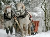 7 декабря - Катеринин день, Катерина-санниця