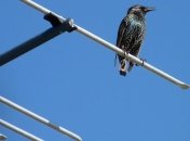 В Нацсовете назвали количество захваченных Россией частотных присвоений