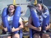 Непредвиденная опасность: в США чайка на скорости 120 км/час врезалась в девочку на аттракционе (видео)