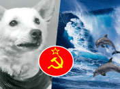 Эти животные стали героями времен СССР