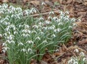 День весеннего равноденствия 2019: дата и время