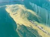 Возле Одессы море внезапно зазеленело - купаться не советуют