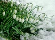 Весна точно придет