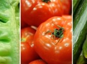 Обезжиренные соусы уничтожают полезные свойства продуктов