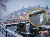 Ужгород, снег