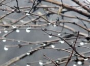 Погода в Украине 19 марта: во всех областях - дожди