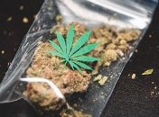 За півроку в Україну понад 300 разів намагалися ввести наркотики