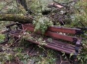 Вітер зривав дахи і валив дерева: Івано-Франківськ накрила потужна буря (фото)