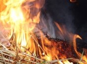 На Днепропетровщине горели 20 га поля