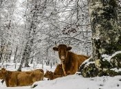 Какой праздник 19 февраля: народные приметы и запреты