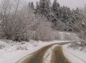 На кладбище - к пацанам, а не в Москву: украинцев разозлила история заробитчанина из Львова