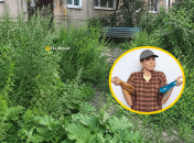 Ця погана трава може рости швидше, аніж ви собі уявляєте