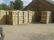 СБУ раскрыла механизм хищения ценных пород древесины