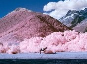 Жизнь в розовом цвете: инфракрасные пейзажи Новой Зеландии (Фото) 