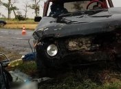 Пьяный водитель стал причиной ДТП двух "ВАЗов" в Запорожской области