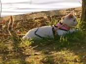 Фото: pixabay.com