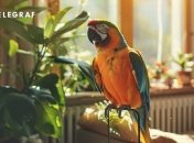 Этот красавец не только развеселит вас своими забавными проделками (фото создано с помощью ИИ)