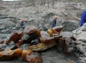 Копи янтаря в Ровенской станут местом проведения экскурсий