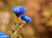 Какой завтра праздник: история, приметы и запреты