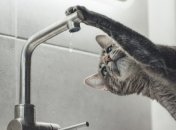 В связи с отключением электроэнергии в Украине вполне возможны перебои с водоснабжением