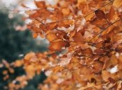 Праздник 6 ноября: народные приметы и запреты