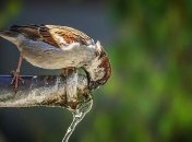 В СНБО предвещают ухудшение ситуации с водными ресурсами в Украине