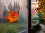 Конденсат на вікнах може легко зникнути