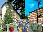 Враження від відпочинку у родин загиблих героїв лишились негативні. Фото Колаж "Телеграфу"