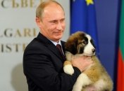 Саакашвили: Путин будет сидеть как собака на сене