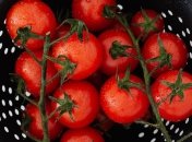 Помидоры - очень полезный для здоровья овощ