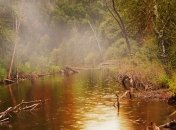 Ученые раскрыли тайну низкого роста пигмеев 