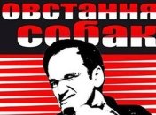 Украинский режиссер представит фильм "Последний день Евро"