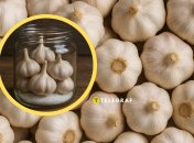 Как хранить чеснок зимой