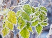 Прогноз погоды на 29 ноября: Украину ожидает снег