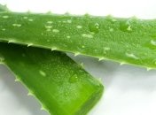 Сок алоэ: польза и как правильно применять при насморке
