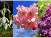 Прогноз погоды в Украине на весну