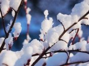 Україну чекають дощі та мокрий сніг