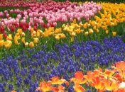 Восхитительный японский национальный парк в разные времена года (Фото)