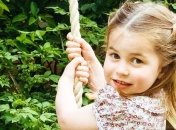 Дочь принца Уильяма и Кейт Миддлтон празднует шестой день рождения: новое фото принцессы Шарлотты 